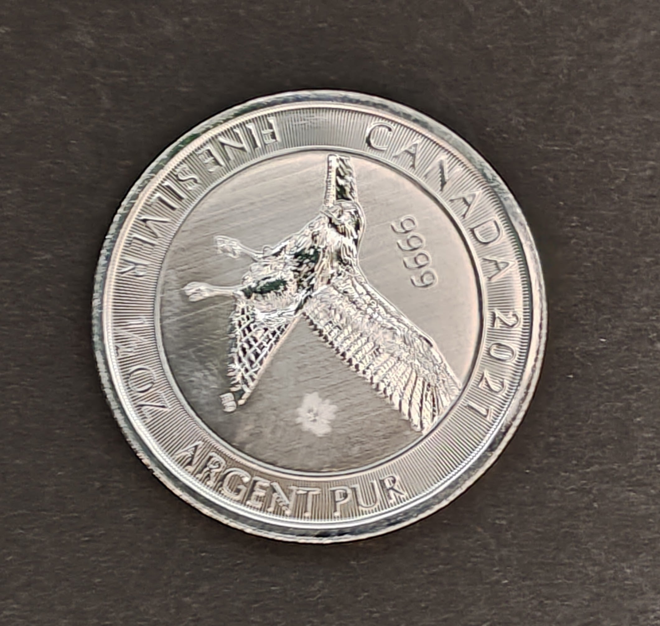 2021 CANADA - $2 DOLLARS - RED-TAILED HAWK - 1/2 Oz BU SILVER