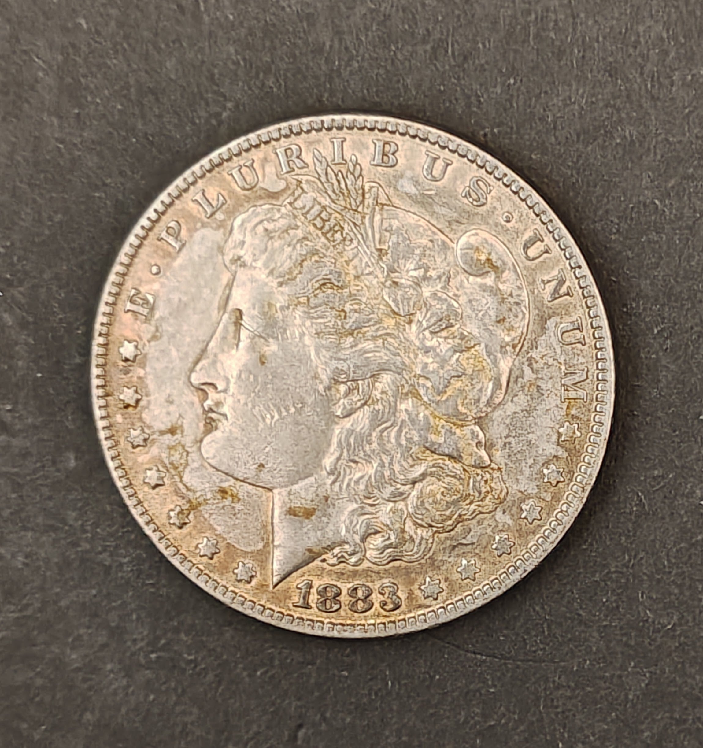 1883 Morgan Silver Dollar – Philadelphia Mint (Circulated)
