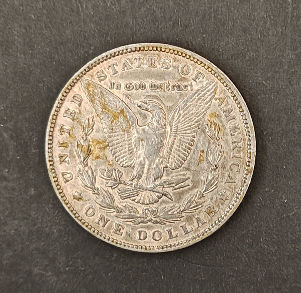 1883 Morgan Silver Dollar – Philadelphia Mint (Circulated)