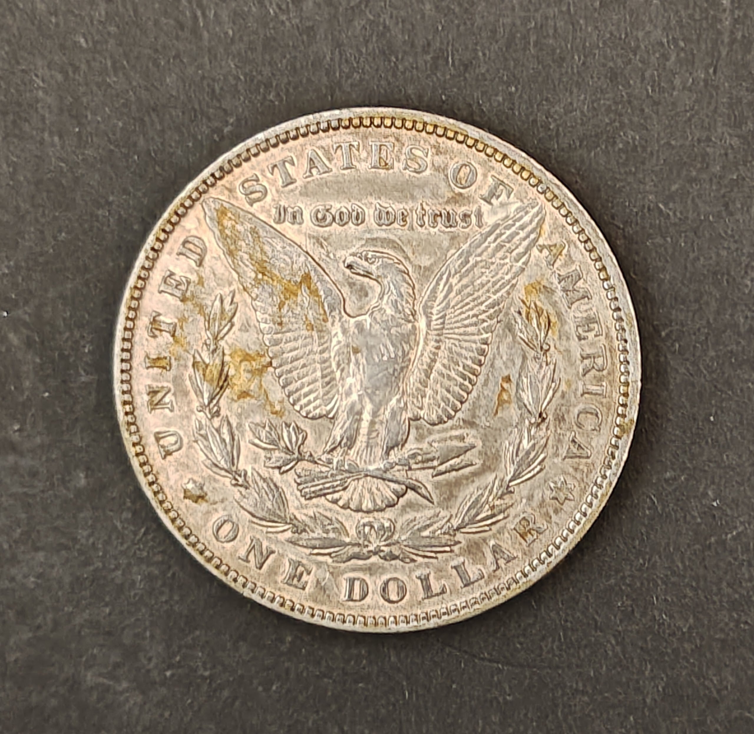 1883 Morgan Silver Dollar – Philadelphia Mint (Circulated)