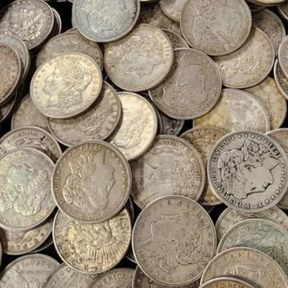 Morgan Silver Dollar (Common Dates)